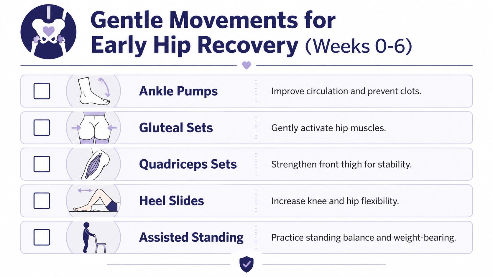 An educational infographic outlining five gentle exercises for early hip recovery during the initial six weeks.