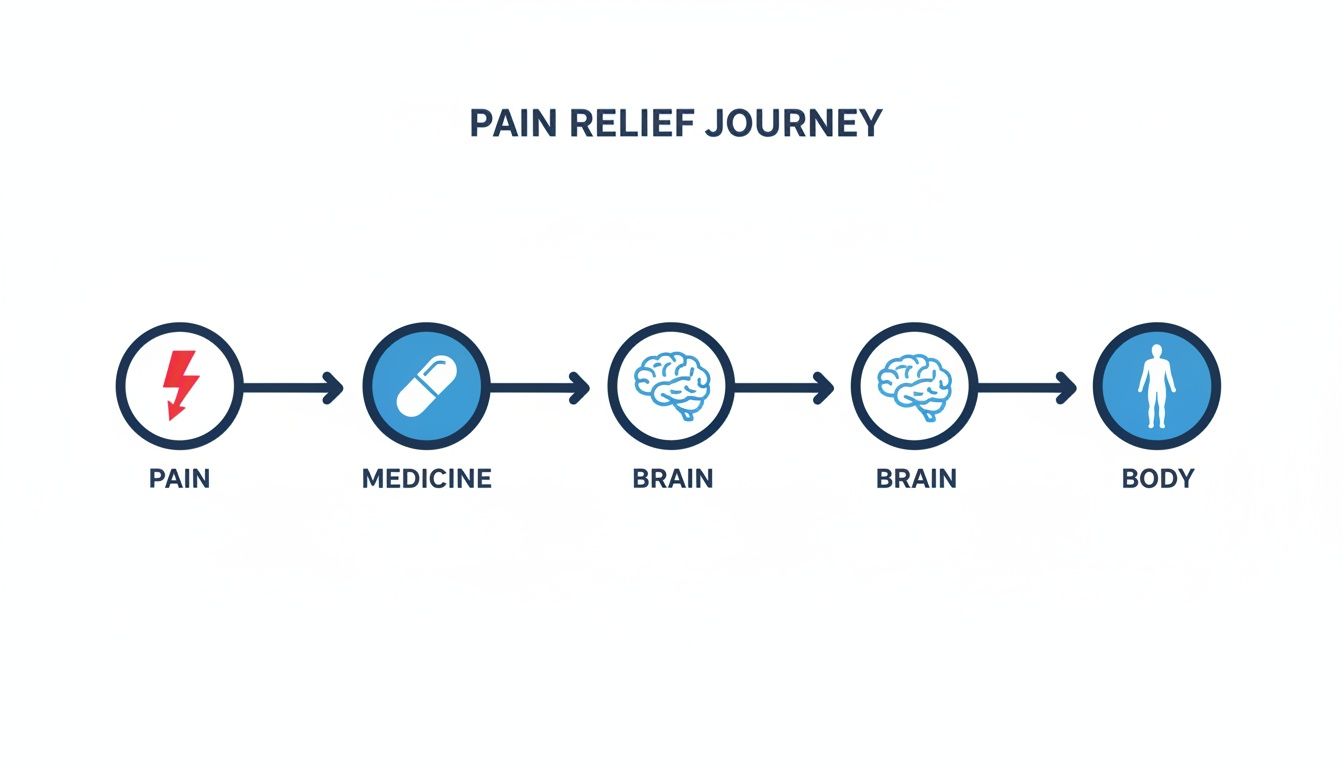 A diagram illustrates the pain relief journey: Pain, Medicine, Brain, Brain, and Body, showing the process.