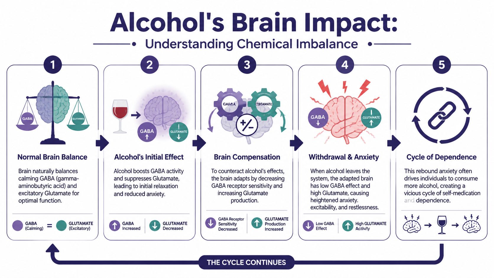 Does Alcohol Cause Anxiety? Understanding 'Hangxiety' 1 An infographic illustrating the chemical imbalance in the brain caused by alcohol consumption leading to anxiety.