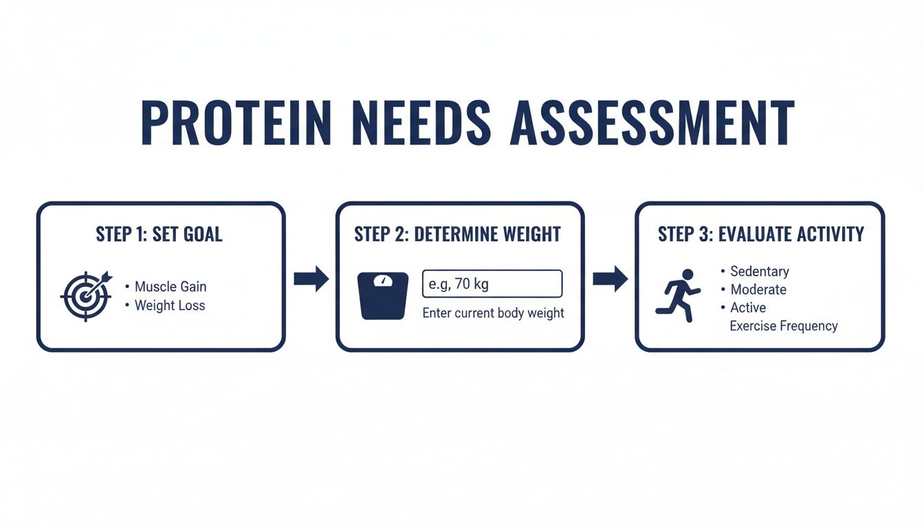 A Clinician's Guide to High Protein Vegetarian Diets 2 A flow chart titled 'Protein Needs Assessment' detailing steps for setting goals, determining weight, and evaluating activity levels.