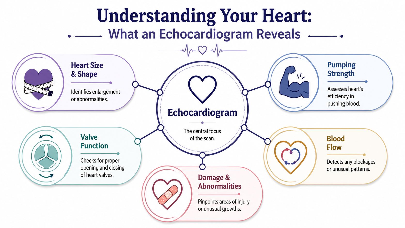 Private Echocardiogram Cost: A UK Patient's Guide 2026 1 An infographic titled Understanding Your Heart showing five key diagnostic revelations provided by an echocardiogram scan.
