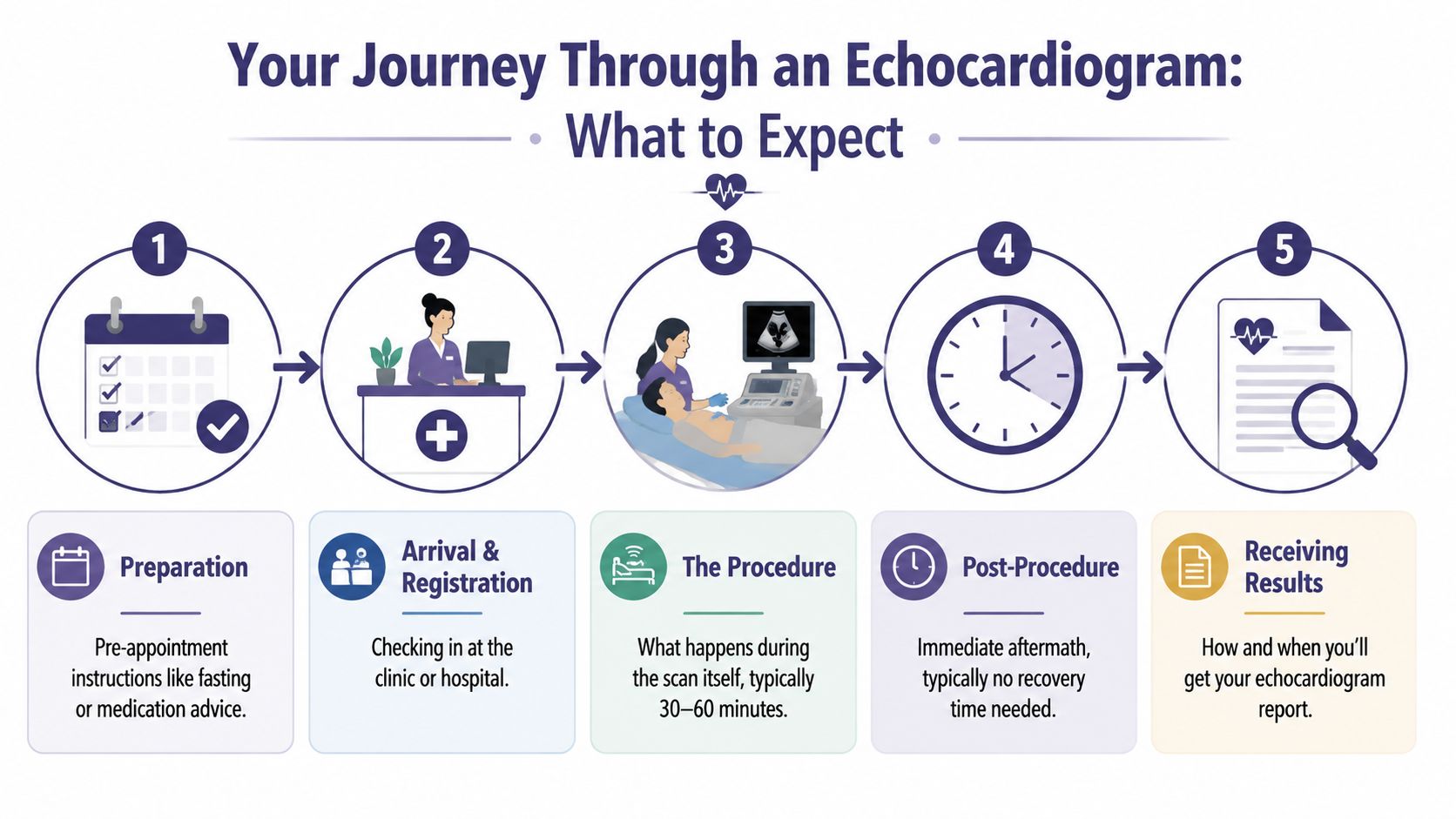 Private Echocardiogram Cost: A UK Patient's Guide 2026 4 An infographic showing the five-step process of having an echocardiogram, from preparation to receiving results.