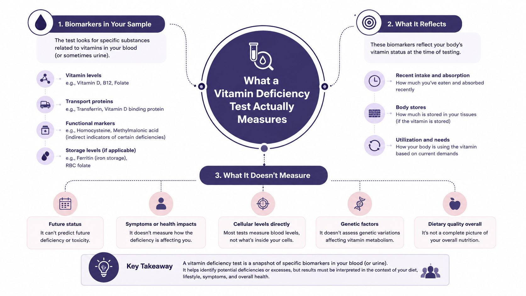 An infographic explaining what a vitamin deficiency test measures, what it reflects, and what it does not measure.