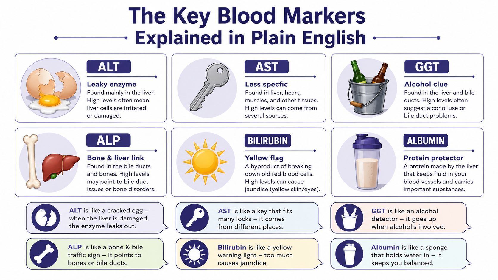 An infographic titled The Key Blood Markers Explained in Plain English detailing various liver function tests.