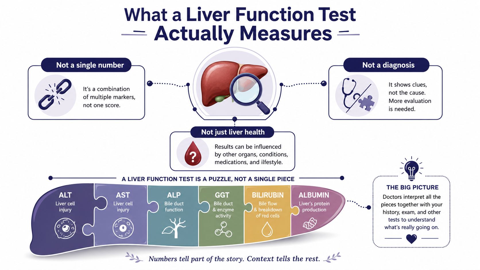 An infographic explaining that liver function tests measure multiple health markers rather than providing a single diagnosis.